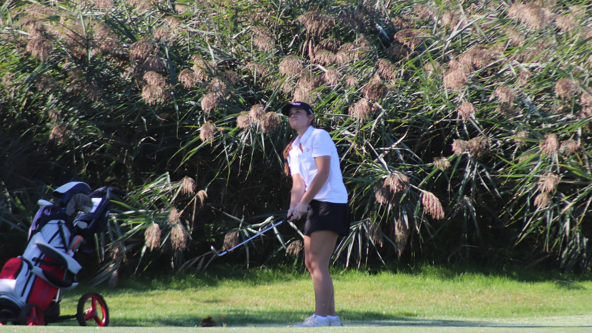 Women's Golf takes part in the LTU Fall Invitational