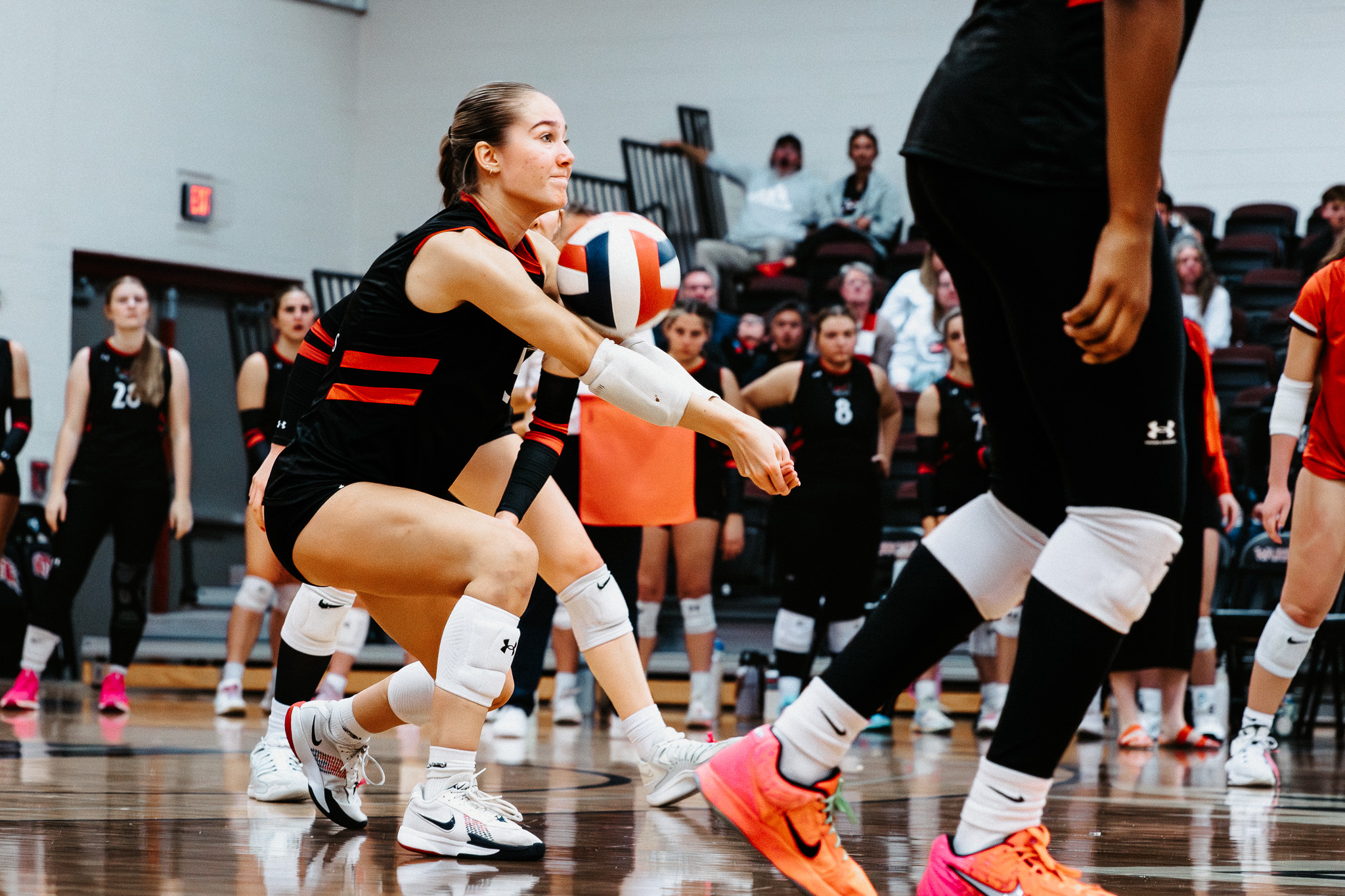 Volleyball drops matchup against Indiana Tech on Friday