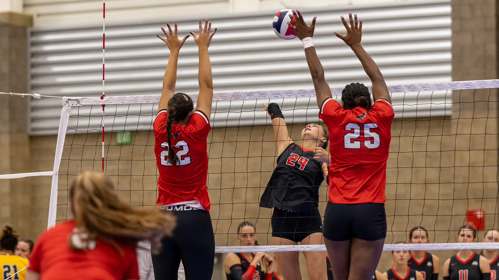 Volleyball splits non-conference tri-match against Lancaster Bible and Ohio Christian